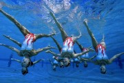 2026年网球青训导师带教档案平台新增训练任务自动推荐引擎，网球教练指导
