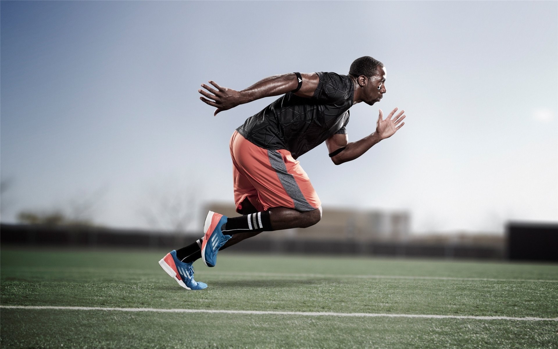 南非青训项目的国际化进程加速，橄榄球未来可期，南非拿过橄榄球世界杯冠军吗