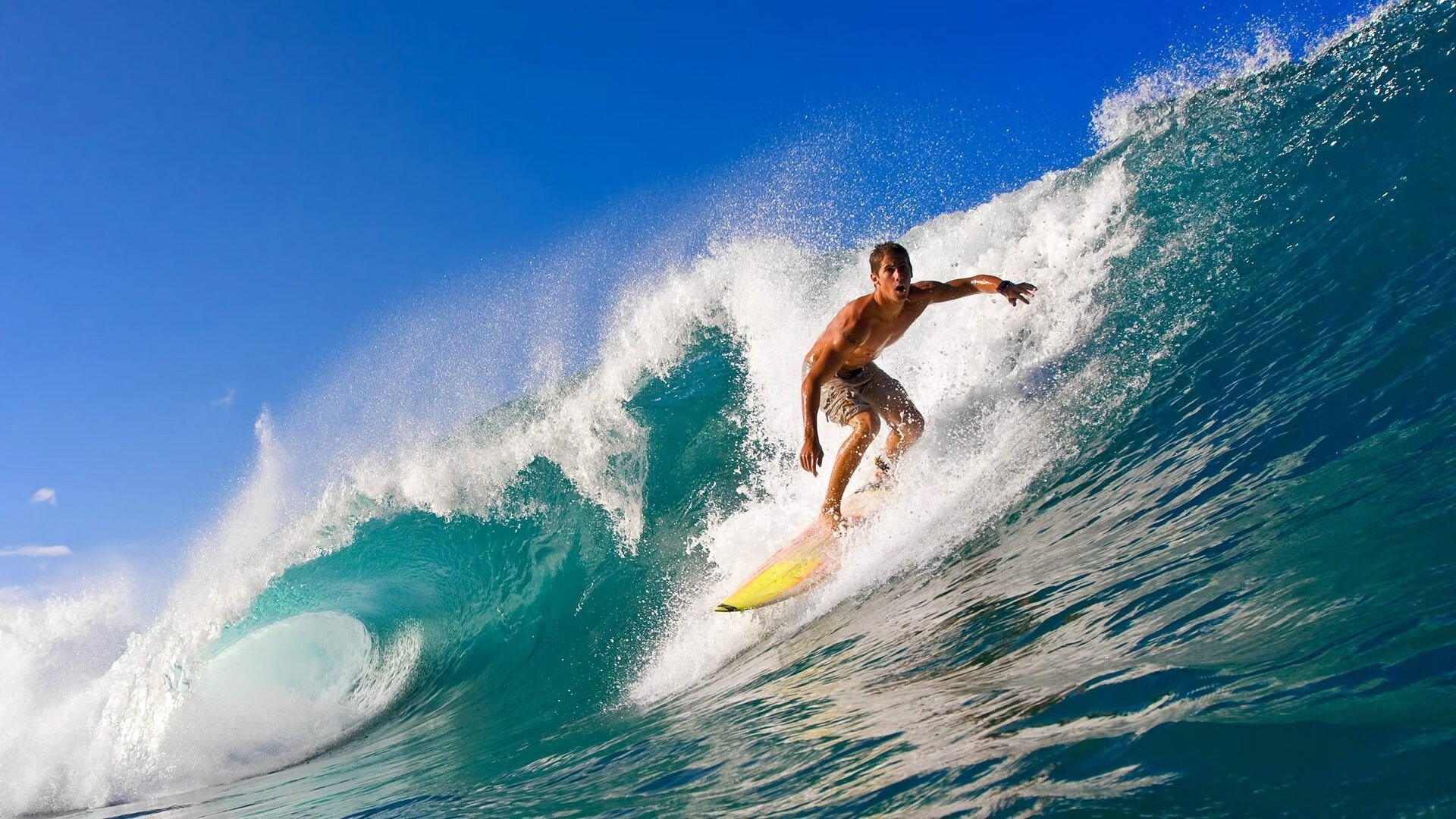 德甲节奏飞快：攻防一体，精彩不停！，德甲 厂队