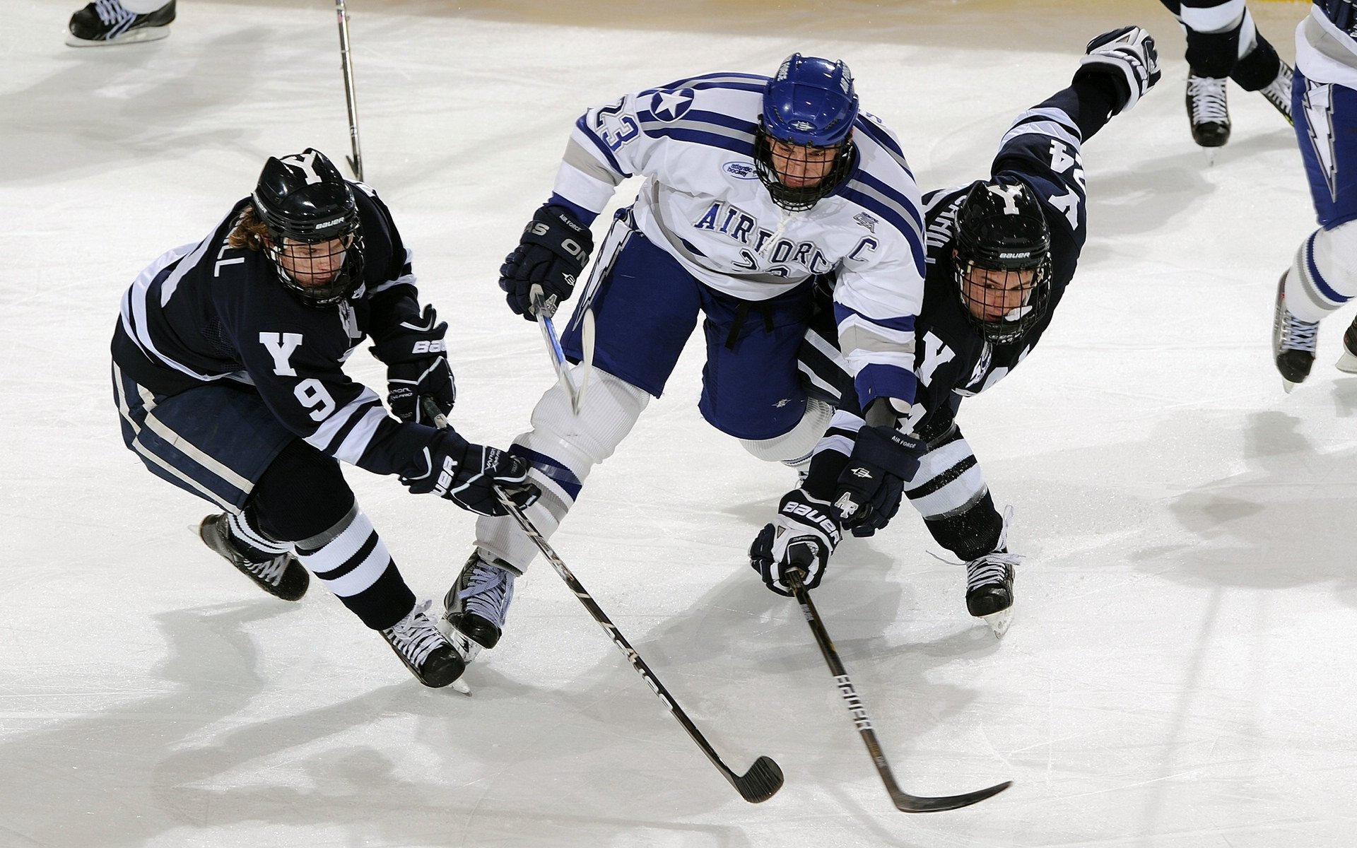 裁判与教练联席会议促进规则理解与执行一致性，裁判和教练哪个厉害